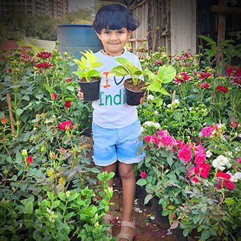 Vertical and Terrace Gardening Service in Lonavala