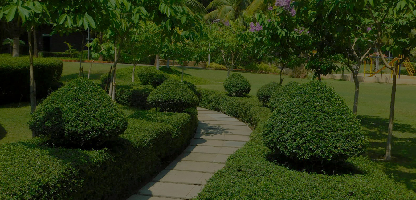 Landscaping Developer Service in Mumbai