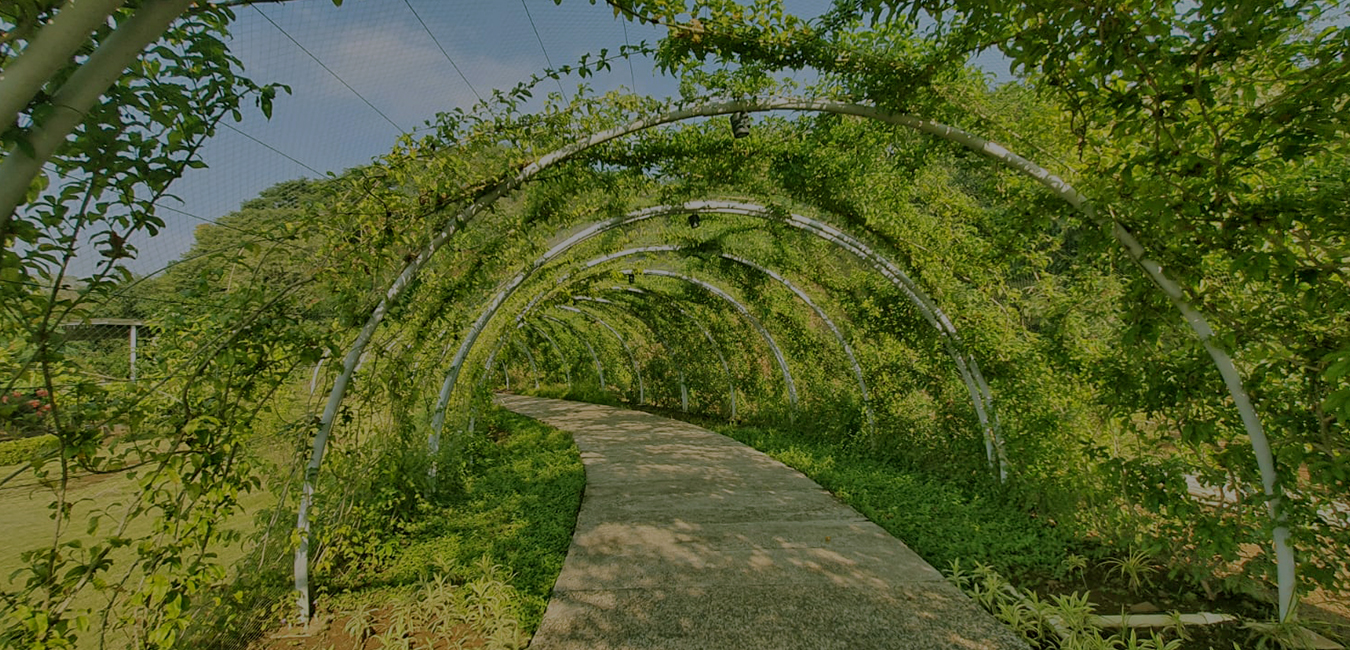 Landscaping Developer Service in Mumbai