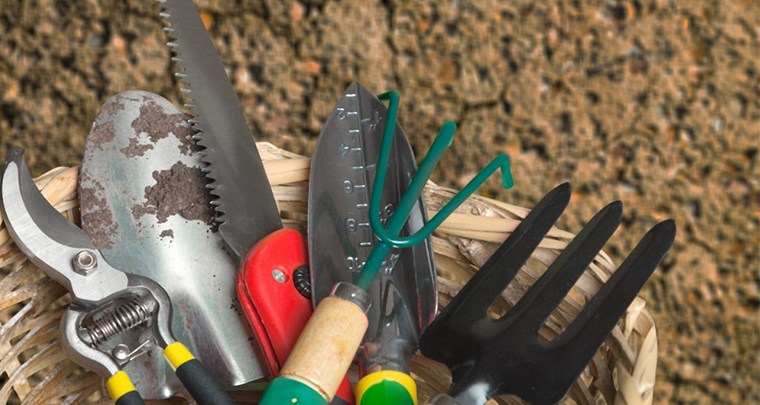 Garden Maintenance Company in Mumbai