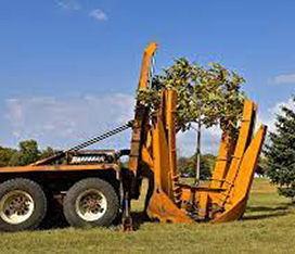 Landscaping Developer Services in Mumbai