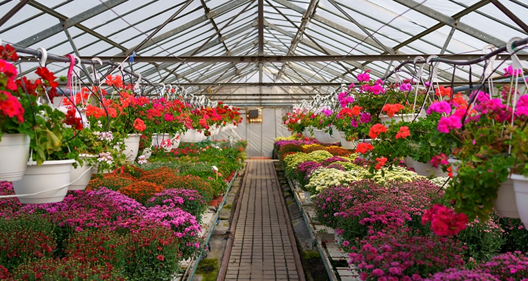 Vertical and Terrace Gardening Service in Lonavala