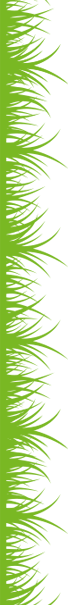 Landscaping Developer Service in Mumbai