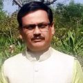 Landscaping Developer Service in Mumbai