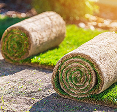 Vertical & Terrace Gardening Services in Lonavala